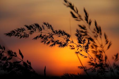 Aimer ....